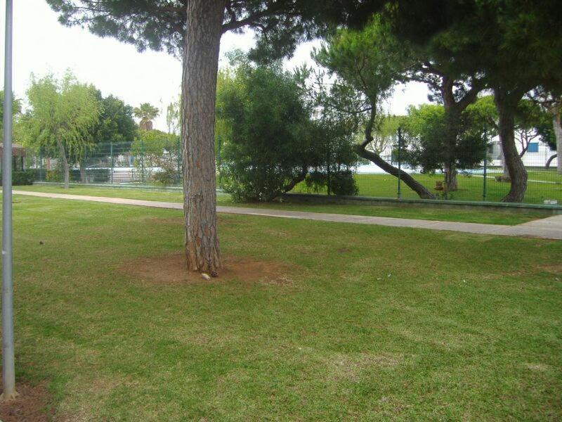 Playa De La Barrosa La Almadraba IV Fase "Interior" B-3 Lägenhet Chiclana de la Frontera Exteriör bild